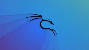 Установка Kali Linux на сервер Hetzner