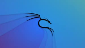 Установка Kali Linux на сервер Hetzner